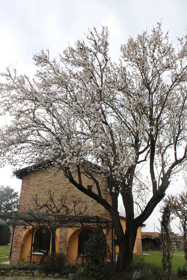 La Trunera Guest House Αλεξάνδρεια Εξωτερικό φωτογραφία